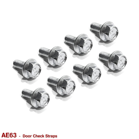 DOOR CHECK STRAP BOLTS for VB VC VH VK VL - HOLDCOM AUTO PARTS