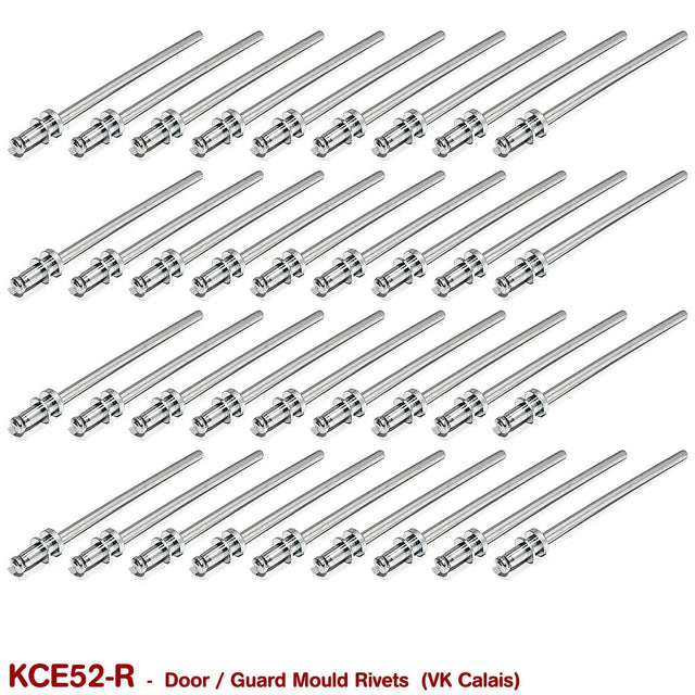 DOOR / GUARD MOULD RIVETS for VK CALAIS - HOLDCOM AUTO PARTS