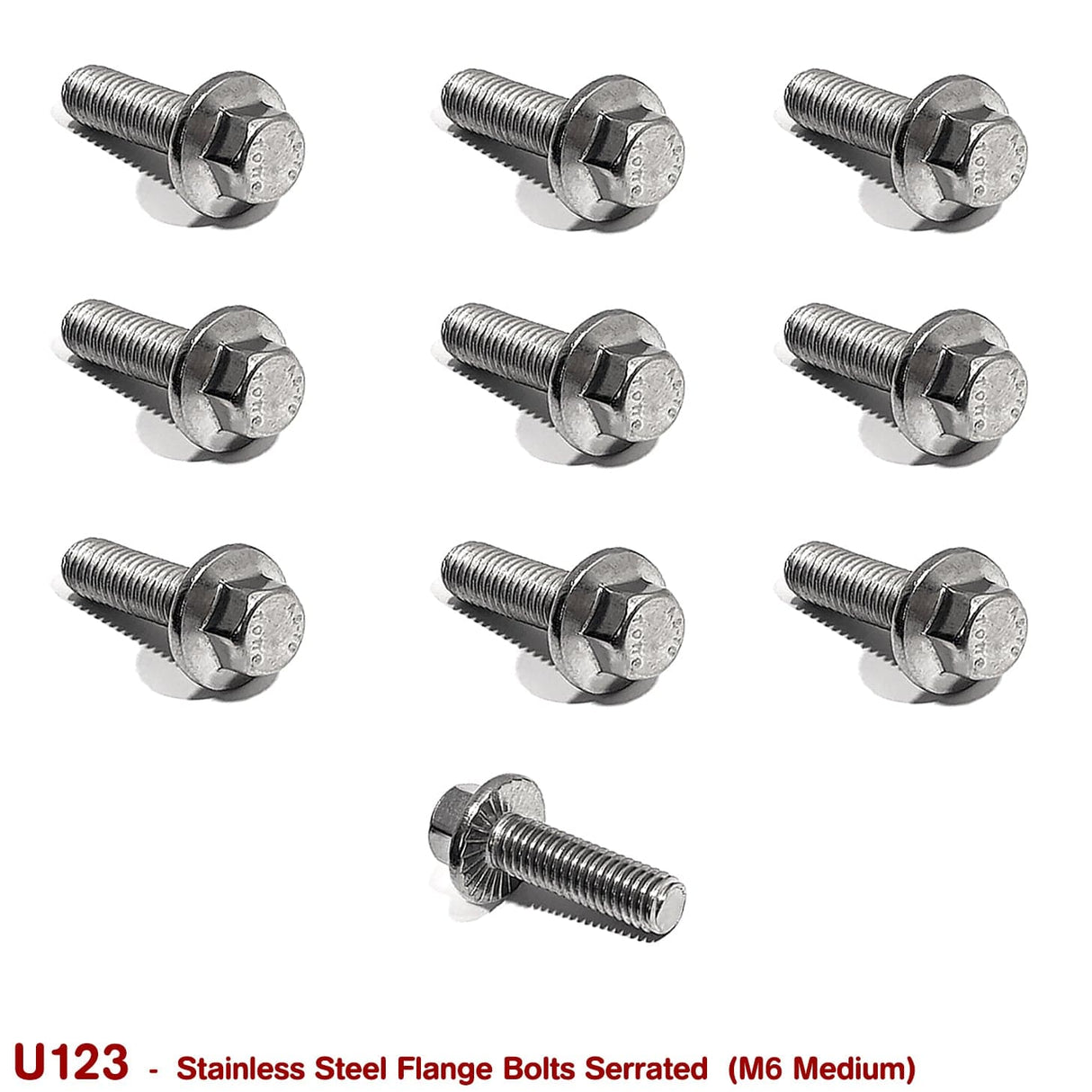 FLANGE BOLTS SERRATED M6 MEDIUM (STAINLESS STEEL) - HOLDCOM AUTO PARTS