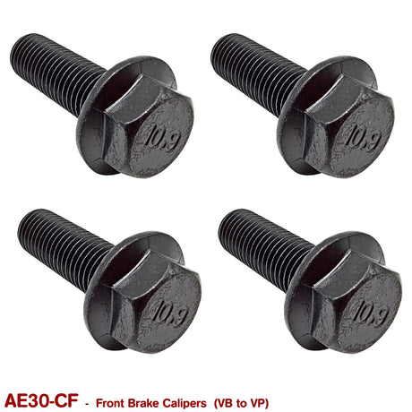 FRONT BRAKE CALIPER FASTENERS for VB VC VH VK VL VN VP - HOLDCOM AUTO PARTS