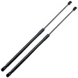 WAGON TAILGATE GAS STRUTS KIT for VB VC VH VK VL - HOLDCOM AUTO PARTS